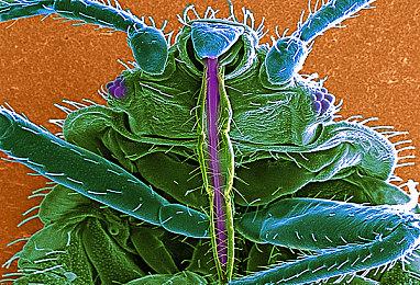 动作冒险游戏《面具收集者维克》现已推出试玩Demo